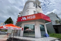 Dự Án Ngân Hàng MSB - Cao Lãnh